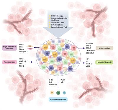 Advances in targeting tumor microenvironment for immunotherapy
